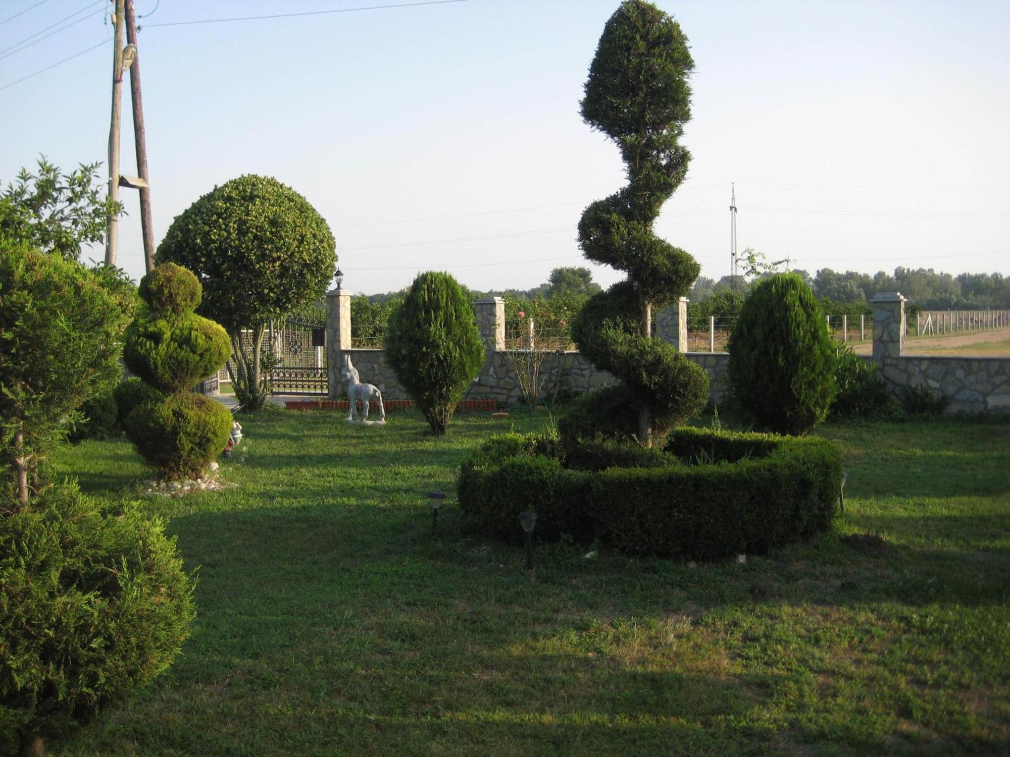 Apartments Ada Bojana Ulcinj Bagian luar foto